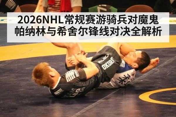 2026NHL常规赛游骑兵对魔鬼帕纳林与希舍尔锋线对决全解析